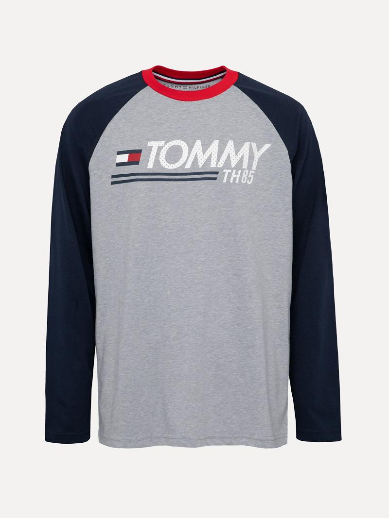 Fiú Tommy Hilfiger Big Logo Raglan Póló Szürke | HU 2244LIS